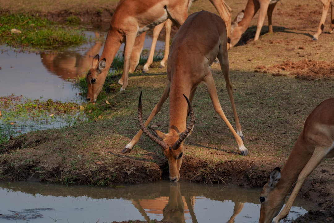 Rheinfall Rafting Schaffhausen – Rafting-Anbieter in Schaffhausen (CH)
